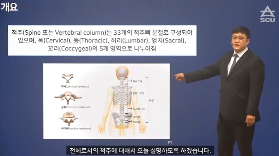 기능해부학
