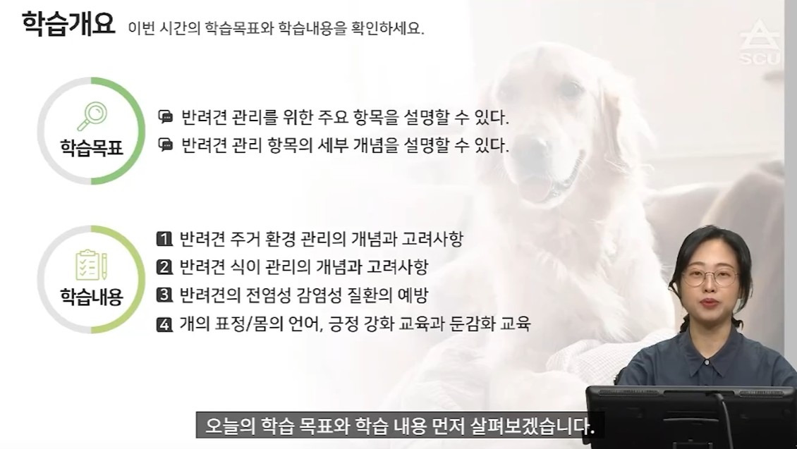 반려견관리학